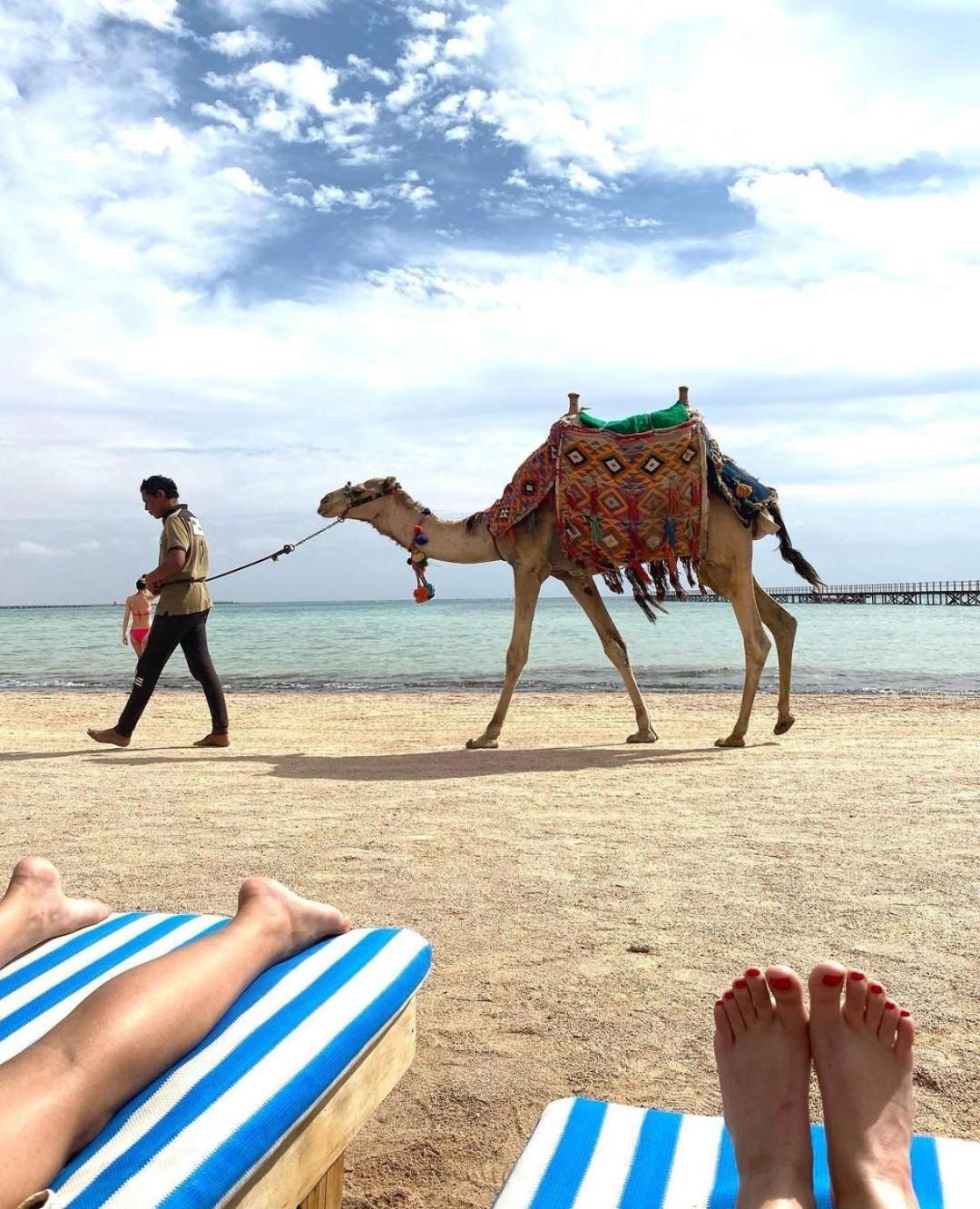 Romance Regency Club (Adults Only) Sharm el-Sheikh Exteriör bild